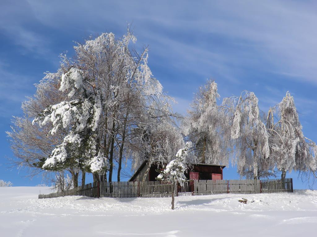 Hotel Zum Schneekopf "Garni" Гельберг Экстерьер фото